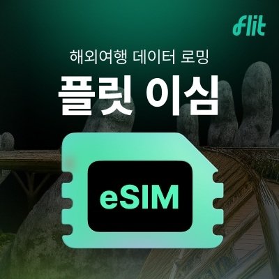 [플릿 이심] 해외 여행 eSIM