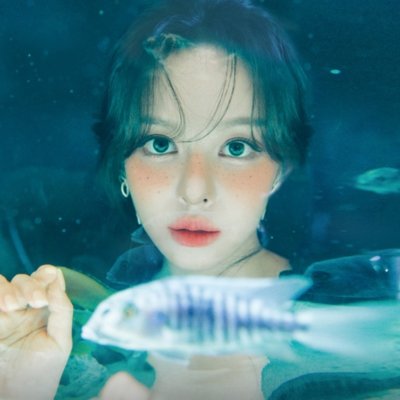 [관악] 포토오브제 샤로수점