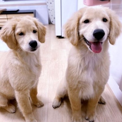 [김포] 오늘도 난 삐딱하개_클립