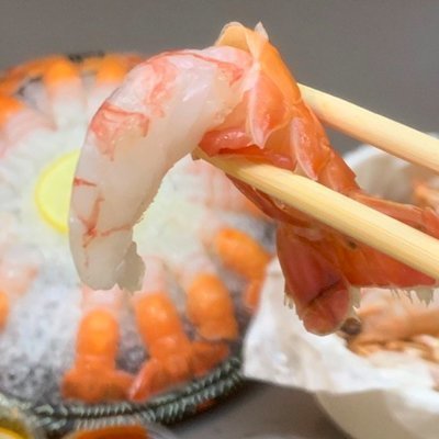 [제주] 여기고씨네