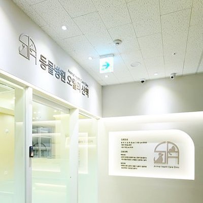 [안양] 오월의산책 동물병원