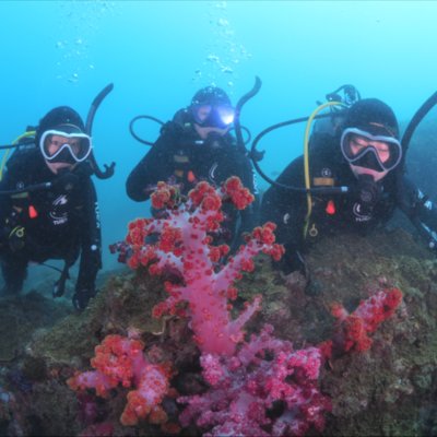 [제주] 제주스쿠버스쿨