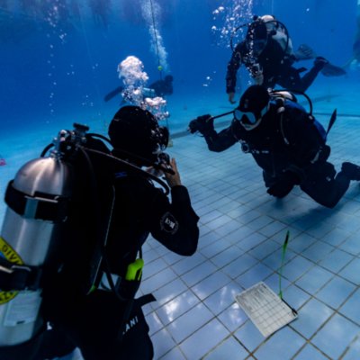 [송파] 엔비다이버스