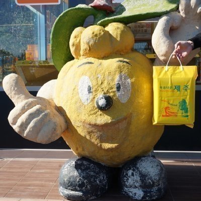 [제주]중문농수산물직판장_콘텐츠&클립