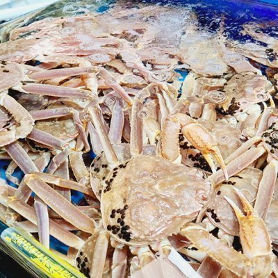 [노량진] 복띵이수산3