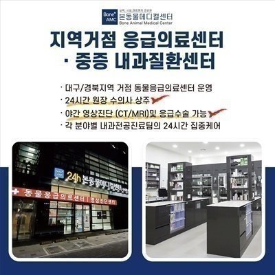 [대구] 본동물메디컬센터 24시(B)