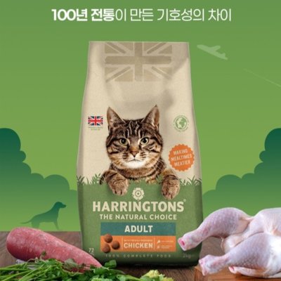 [해링턴] 영국1위 고양이 1군사료