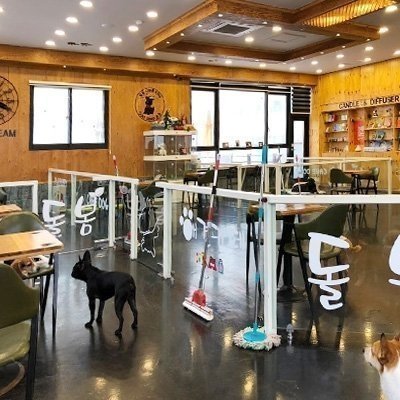 [충북] 돌봄 오창점