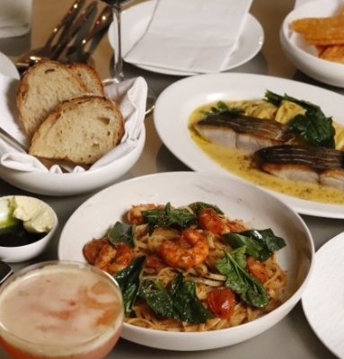 [압구정] 신테틱