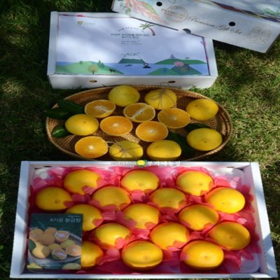 [제주] 제이샘_콘텐츠&클립