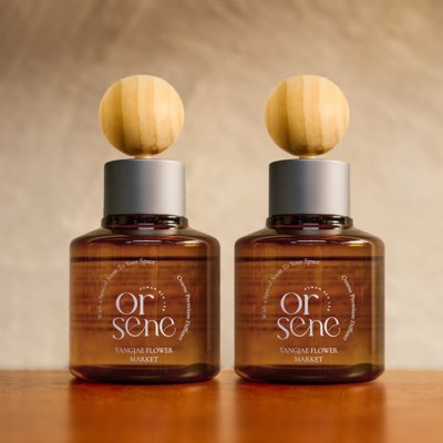 [올센느]1+1 차량용 디퓨저 방향제