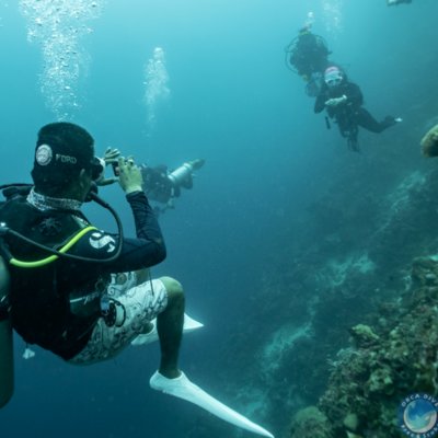 [서초] 오르카다이브