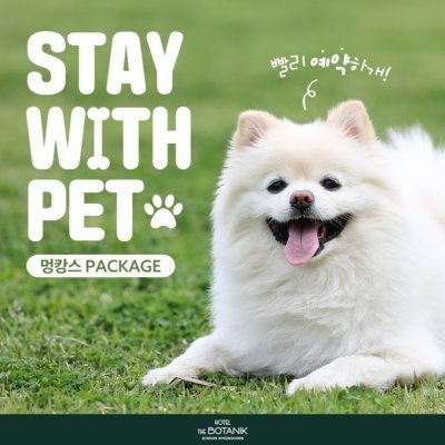 [명동] 호텔 더 보타닉_멍캉스