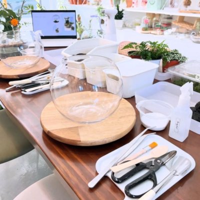 [기자단] 비마이플랜트