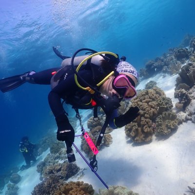 [제주] 마코다이브