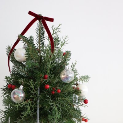 프라시아플라워 플로리스트학원