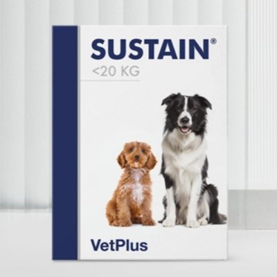 강아지유산균 서스테인