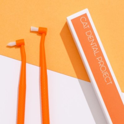 고양이 전용 덴탈 제품