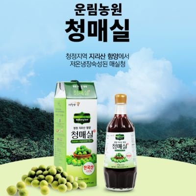 매실차_릴스