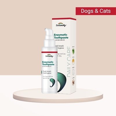 간편한 바르는 효소 치약