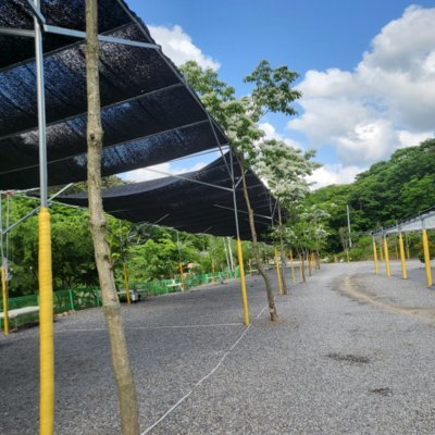 공주금계캠핑장