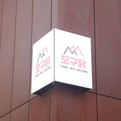 모구닭_사진촬영