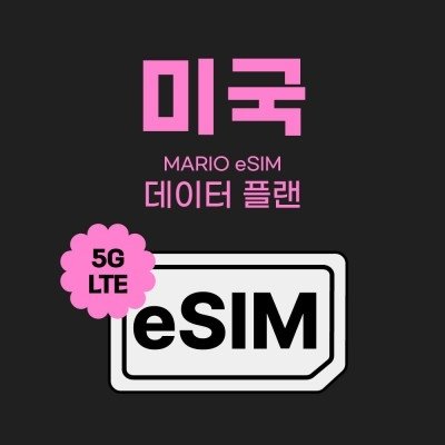 미국 데이터 e심