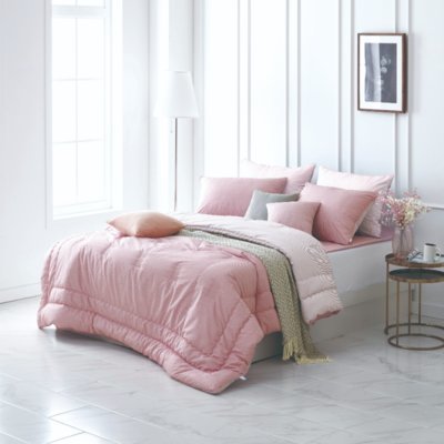 알레르망 아산배방점_릴스