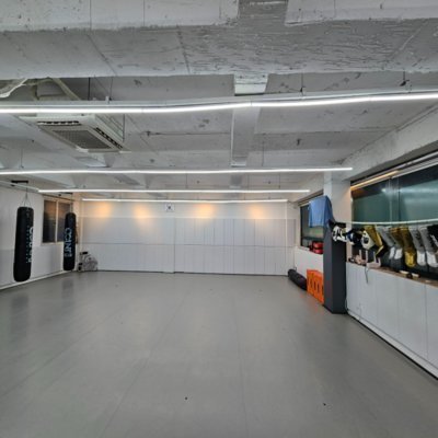 팀조인X와이어주짓수