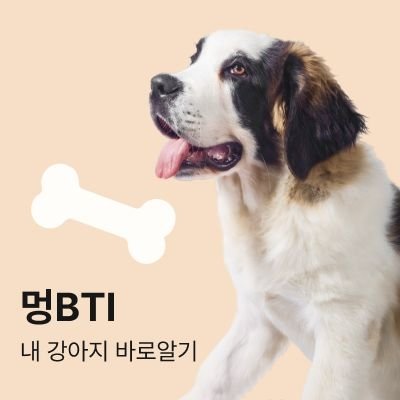 반려동물 성격유형검사