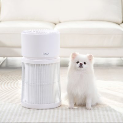 펫케어 공기청정기