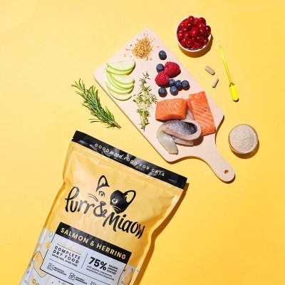 영국 수입 고양이 사료