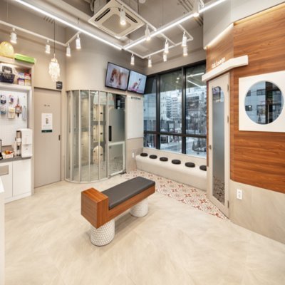 [공덕] 힐링동물병원 & 건강검진센터