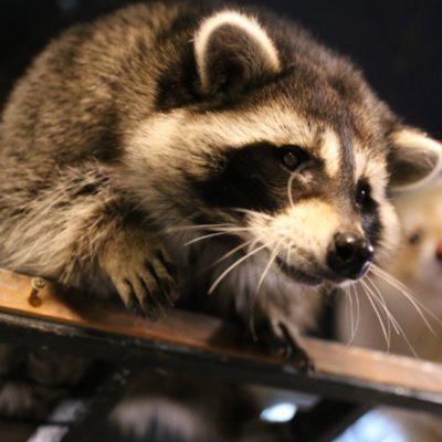 [홍대] 테이블에이 본점