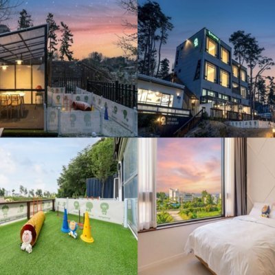 댕댕이 애견 펜션 블루_릴스