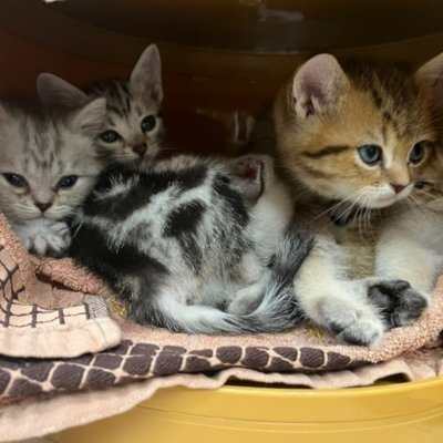 [혜화] 집사의하루 혜화점