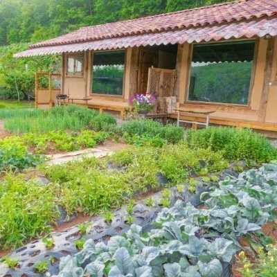 [영월] 영월선돌흙집