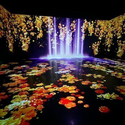 아트팩토리참기름 강화