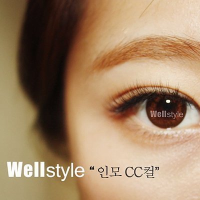 [일산] 웰스타일(속눈썹)