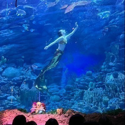 씨라이프부산아쿠아리움 3월