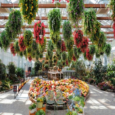 [가평] 가평베고니아새정원