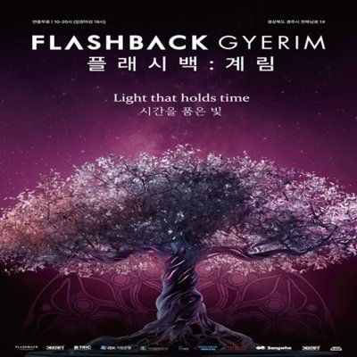 [기자단]플래시백계림 몰입형미디어아트