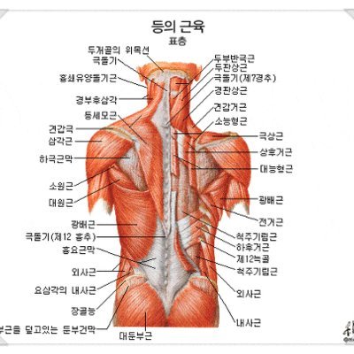 [하남] 미사힐링스파테라피