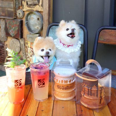 [김포] 55갤런_반려동물동반