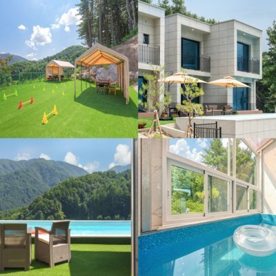 [가평]스테이수목풀빌라 애견펜션_릴스