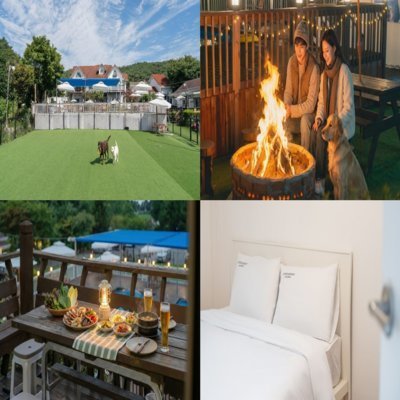 [태안] 에버그린 애견 펜션_릴스