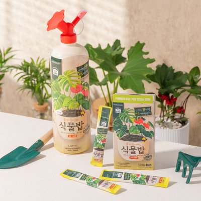 [메이크정글] 몬스테라&식물영양제2종