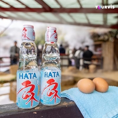 투어비스 후쿠오카 버스투어