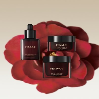 아이디얼 카멜리아 라인 3종