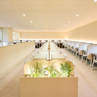 [일산] 디토엔코